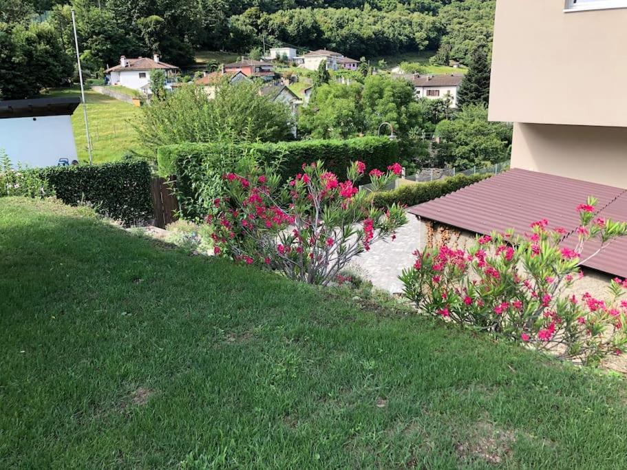 Sinergia E Benessere SantʼAntonio Zewnętrze zdjęcie